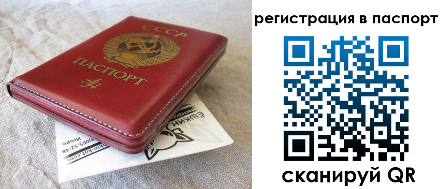 где прописаться в Пикалёво
